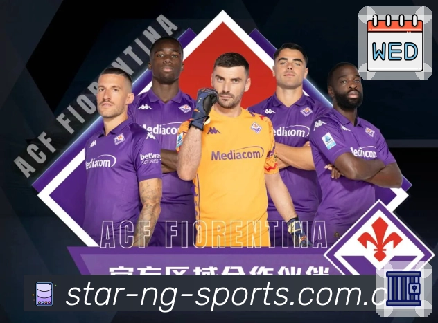 安全监控流程示意